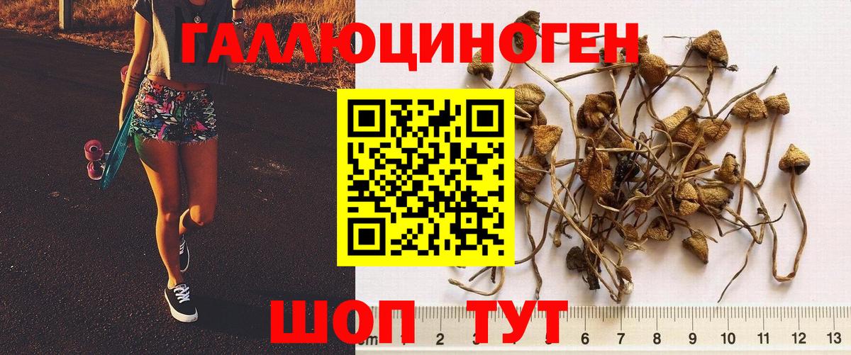 Псилоцибиновые грибы ЛСД  купить наркотики сайты  Амурск  Вход с VPN 